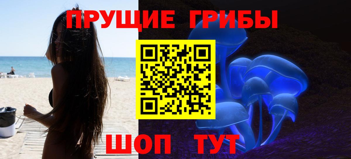Псилоцибиновые грибы мицелий  Вход с VPN  Шатура 